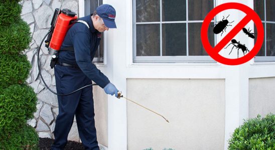 Gülyalı Dezenfeksiyon böcek ilaçlama ve haşere kontrolü — ilaclama-tr.com